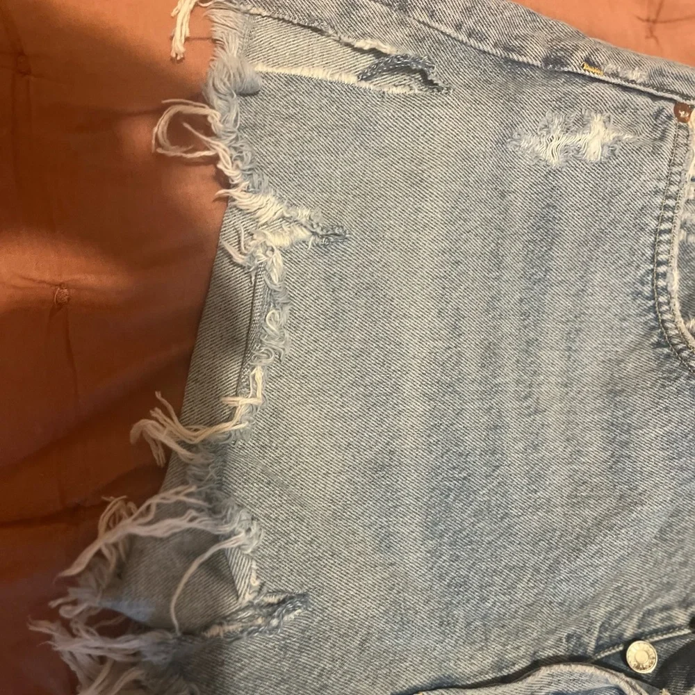 Agolde Parker Denim Jean Shorts